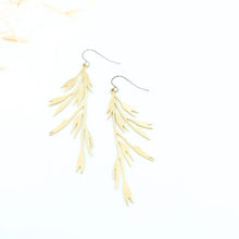 Load image into Gallery viewer, Wild Oat ~ Avena Fatua
