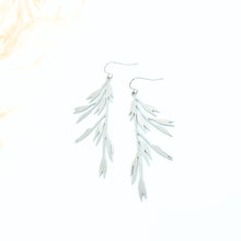 Load image into Gallery viewer, Wild Oat ~ Avena Fatua
